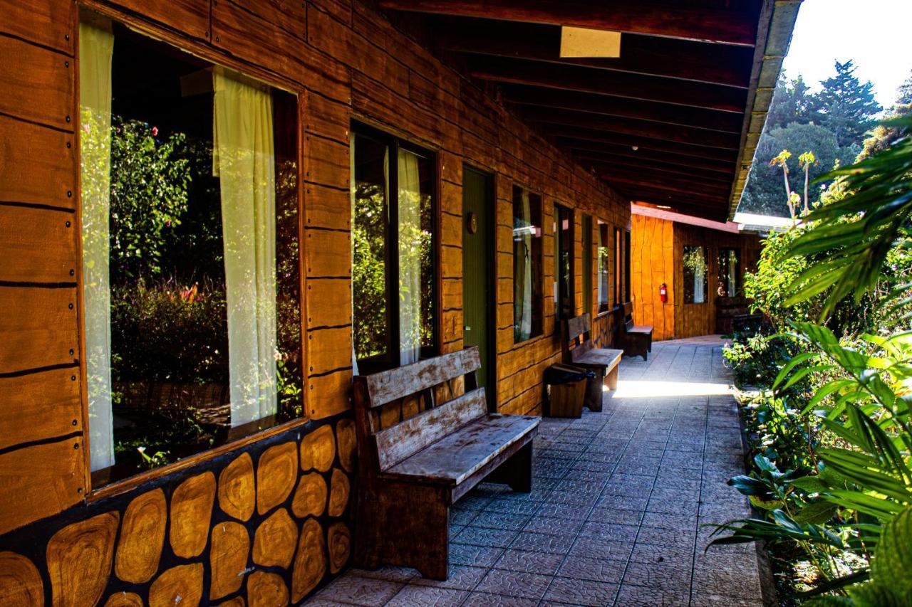 El Bosque Lodging Villa Monteverde Eksteriør billede