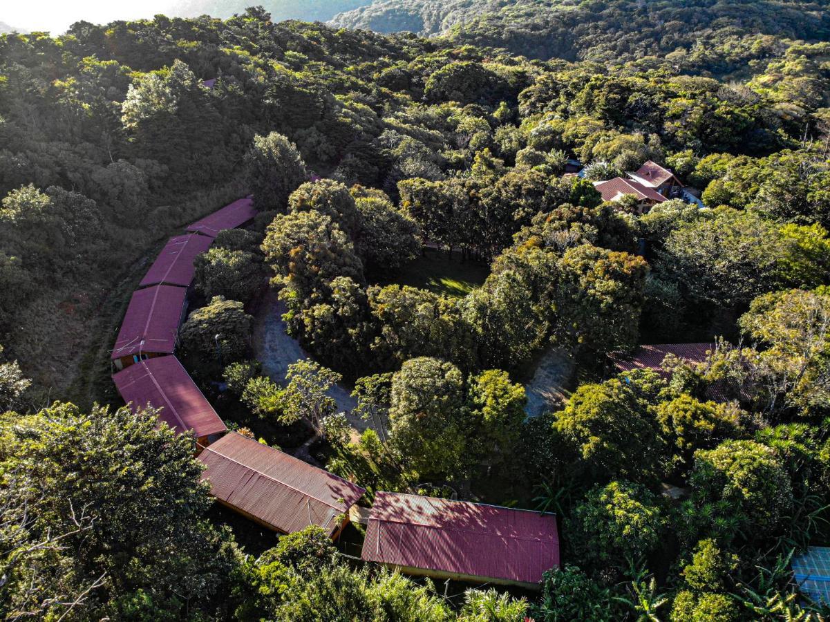 El Bosque Lodging Villa Monteverde Eksteriør billede